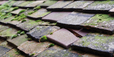 Iford roof repair costs